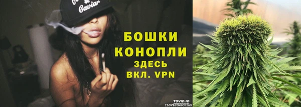 ПСИЛОЦИБИНОВЫЕ ГРИБЫ Арсеньев