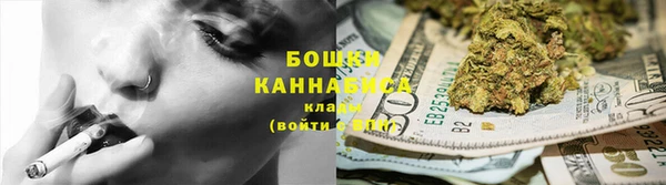 ПСИЛОЦИБИНОВЫЕ ГРИБЫ Арсеньев