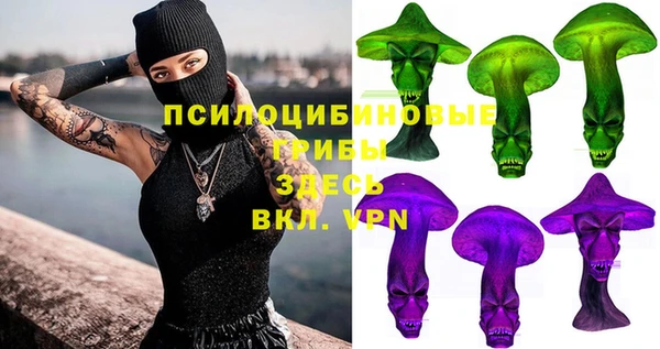 ПСИЛОЦИБИНОВЫЕ ГРИБЫ Арсеньев