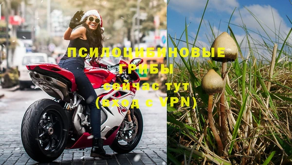 ПСИЛОЦИБИНОВЫЕ ГРИБЫ Арсеньев