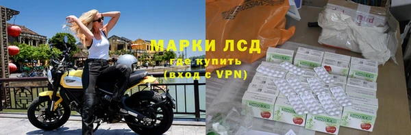 ПСИЛОЦИБИНОВЫЕ ГРИБЫ Арсеньев