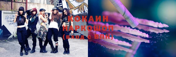 ПСИЛОЦИБИНОВЫЕ ГРИБЫ Арсеньев